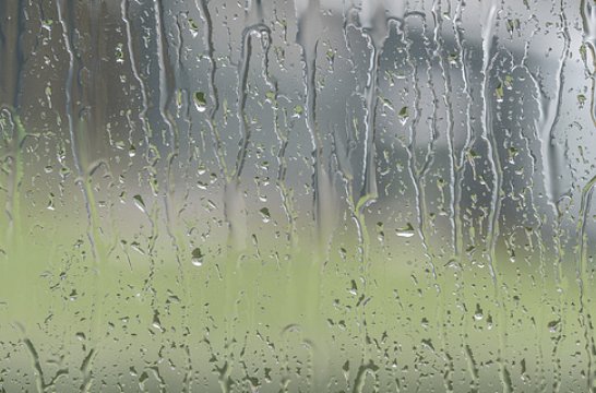 看了能让人湿到不行的句子