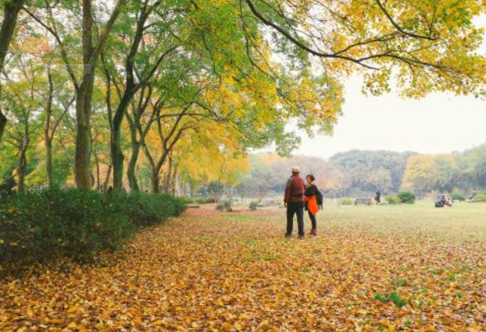 不负如来不负卿是什么意思