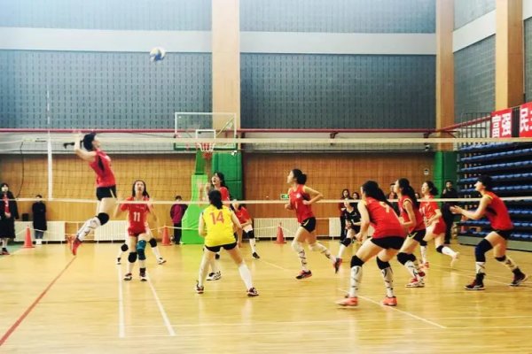 排球一共打多少局