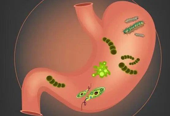 1家4人查出幽门螺杆菌,最小的6岁,如何防范幽门螺杆菌?