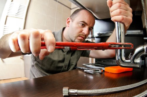 爸爸的本领是什么?