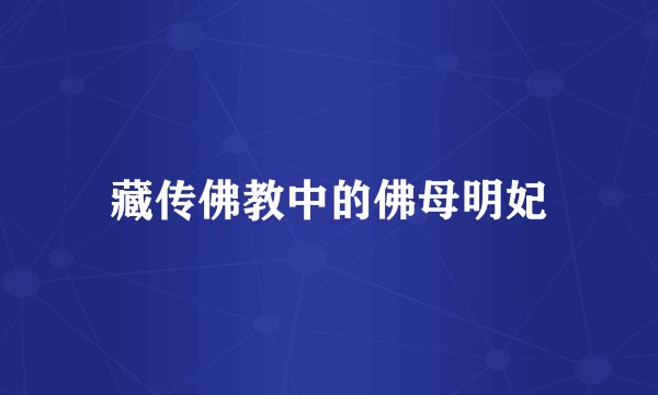 藏传佛教中的佛母明妃