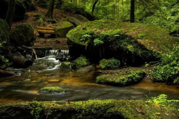 冬寒抱冰,夏热握火的意思