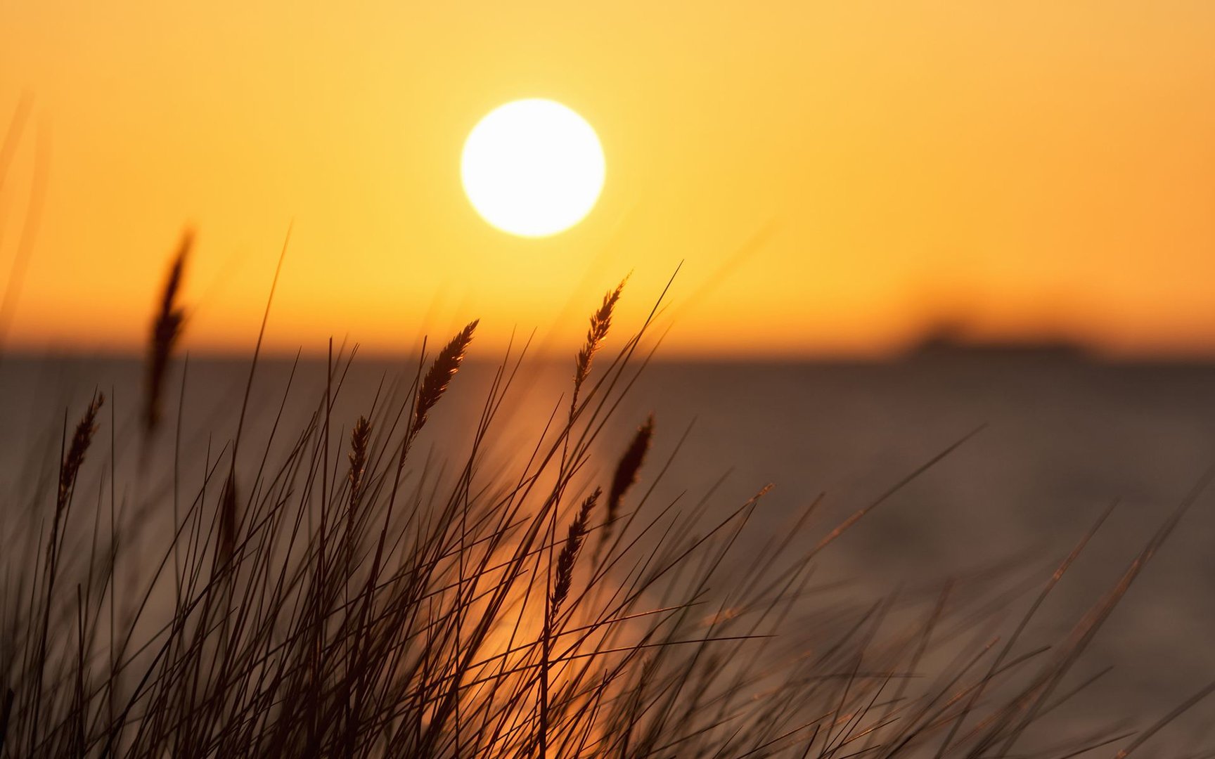 四声啊组词，急.