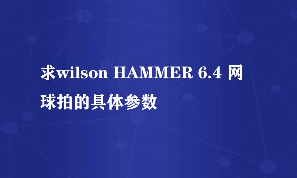 求wilson HAMMER 6.4 网球拍的具体参数