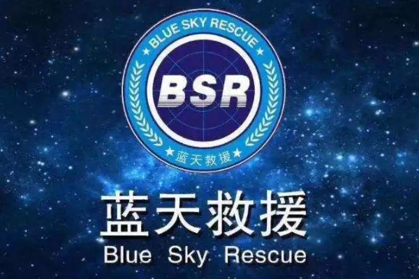 中国十大救援队排名