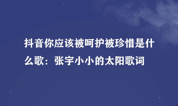 抖音你应该被呵护被珍惜是什么歌：张宇小小的太阳歌词