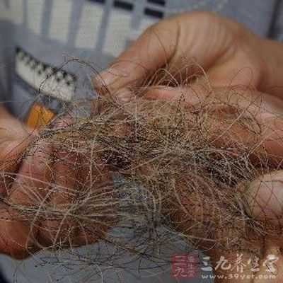 一种形如人的头发,寄生于腐烂树木上的植物叫什么？