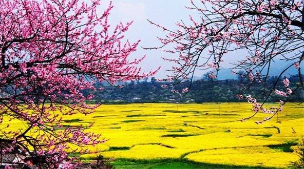 北京北站到延庆看樱花从哪下车