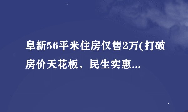 阜新56平米住房仅售2万(打破房价天花板，民生实惠之选！)