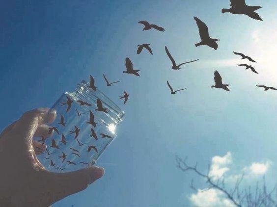 现代诗(冰心的),短点的