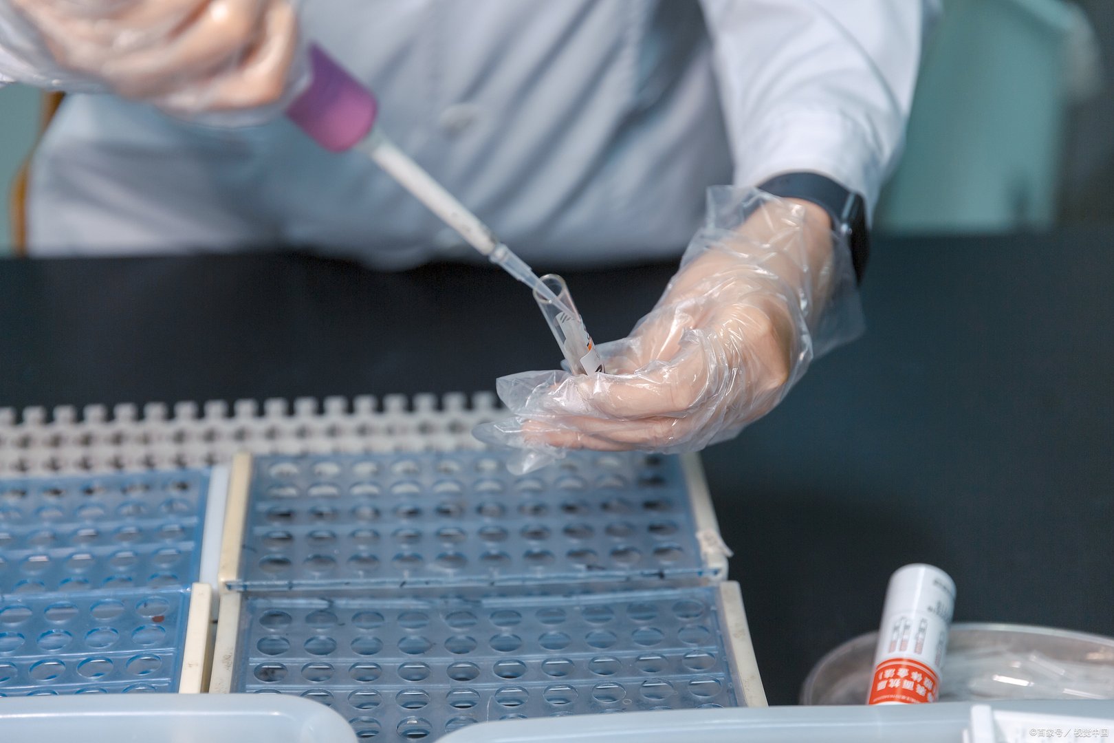 核酸码有效期内能否重新申报