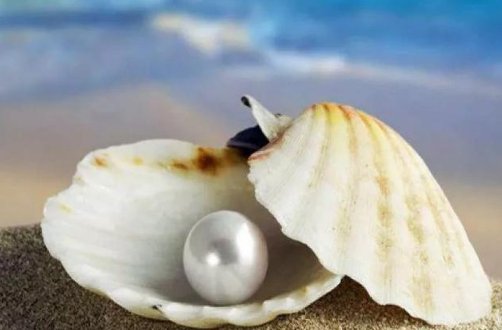 儿子娶不到老婆，父母有责任吗？