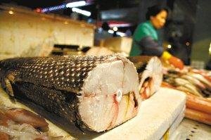 鱼皮上有小细刺的鱼是什么鱼?