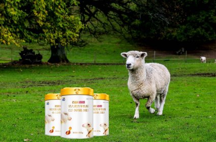 中国十大羊奶粉排名