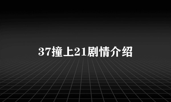 37撞上21剧情介绍