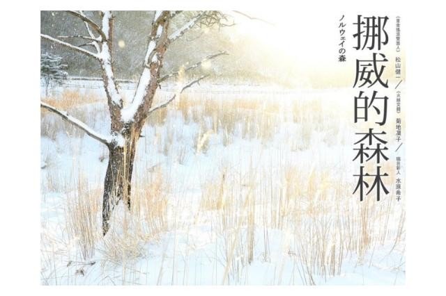 挪威的森林的作者是谁