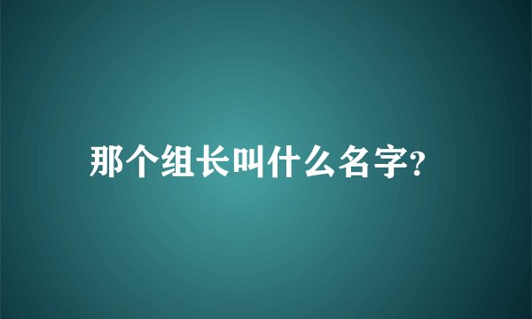 那个组长叫什么名字？