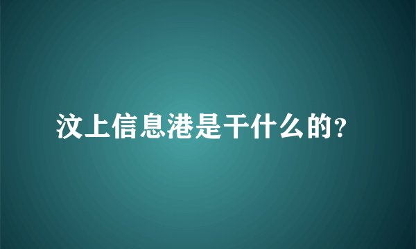 汶上信息港是干什么的？