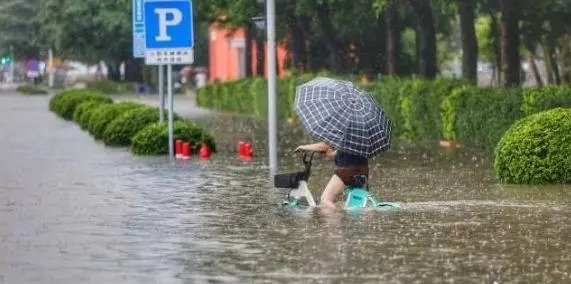 广东暴雨后市民划船看剧河中露营，广东人应对暴雨有多得心应手？