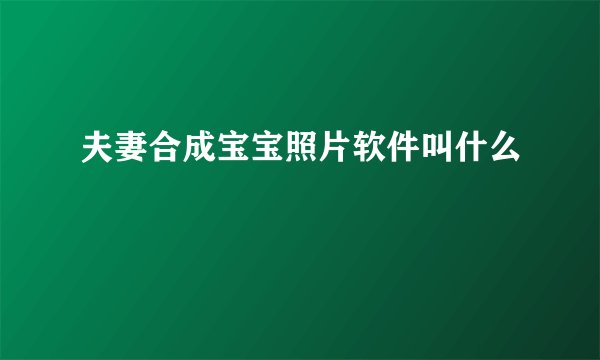 夫妻合成宝宝照片软件叫什么