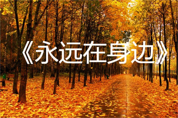 大嘴巴最好听的十首歌