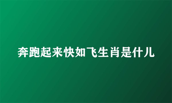 奔跑起来快如飞生肖是什儿