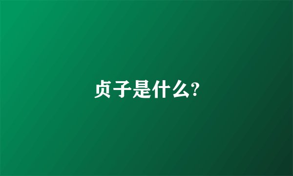 贞子是什么?