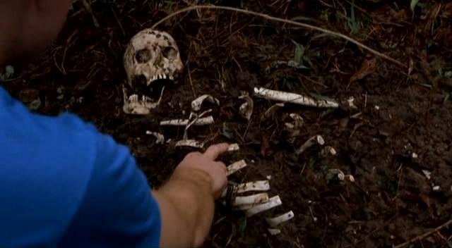 恐怖食肉虫的介绍