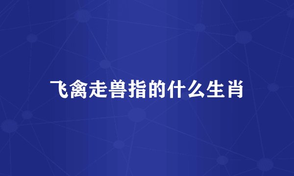 飞禽走兽指的什么生肖