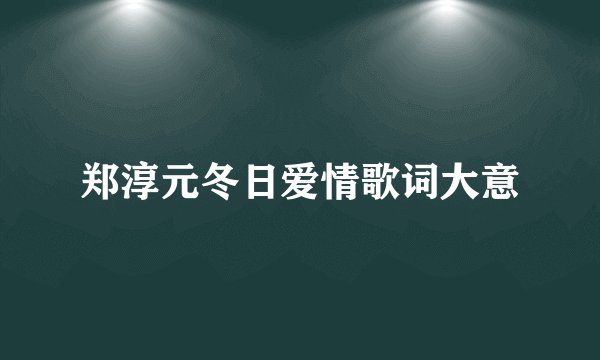 郑淳元冬日爱情歌词大意