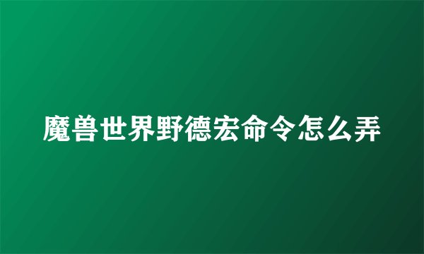 魔兽世界野德宏命令怎么弄