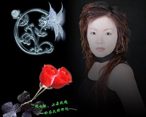 无名女士的介绍