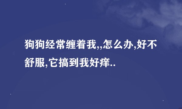 狗狗经常缠着我,,怎么办,好不舒服,它搞到我好痒..