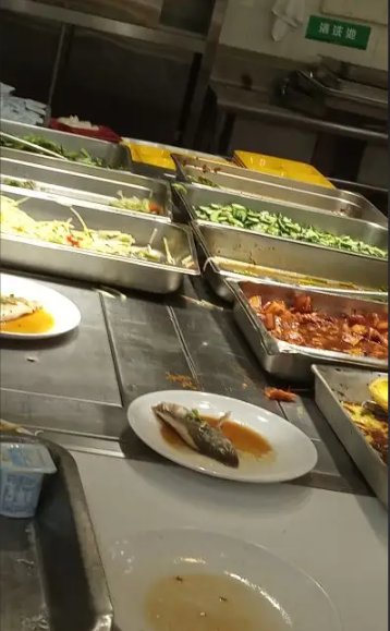 上海震旦职业学院好吗？