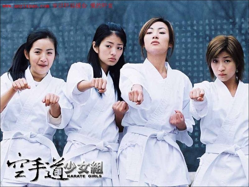 中国功夫少女组的介绍