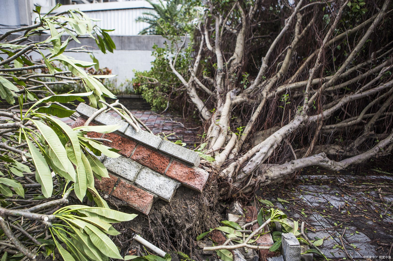 台风烟花再次升级，杭州萧山进化多个村庄出现水情，目前情况如何？