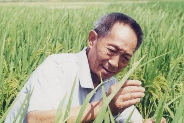 中国杂交水稻之父袁隆平，他在国际上的名声和地位如何