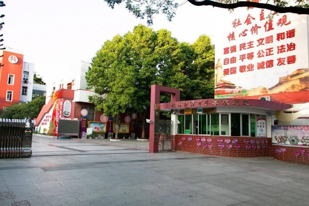 桂林市小学排名一览表前20