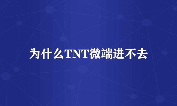 为什么TNT微端进不去