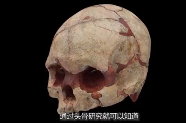 广西发现16000年前的人头骨化石，这对提升广西的历史有什么意义吗？
