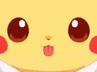 一家之主。猜一动物