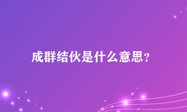 成群结伙是什么意思？