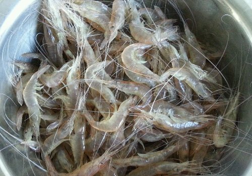 生拌青虾怎样做啊？