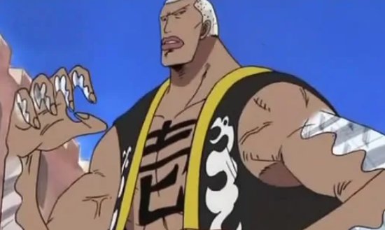 海贼王十大上古果实