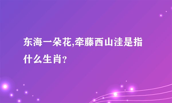 东海一朵花,牵藤西山洼是指什么生肖？