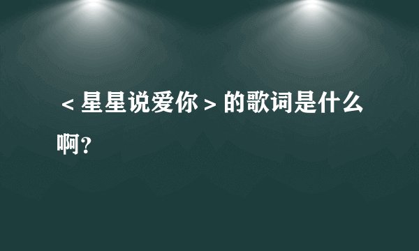 ＜星星说爱你＞的歌词是什么啊？