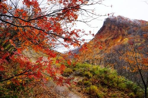 “枫叶红于二月花”是谁的什么诗句