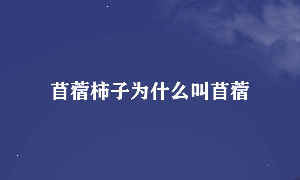 苜蓿柿子为什么叫苜蓿
