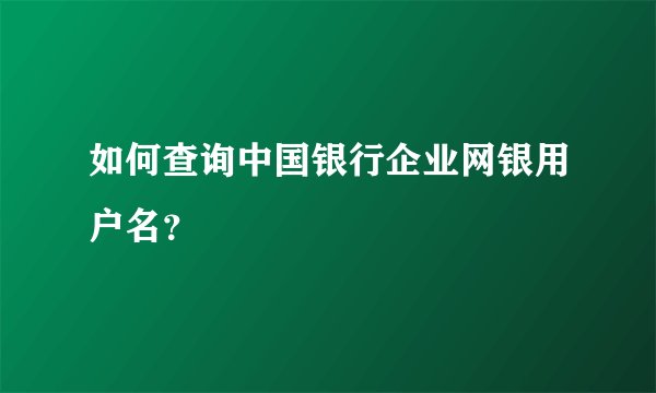 如何查询中国银行企业网银用户名？